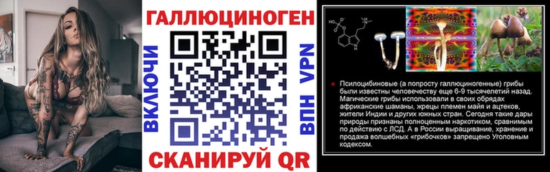 цена   Колпашево  Псилоцибиновые грибы Psilocybine cubensis 